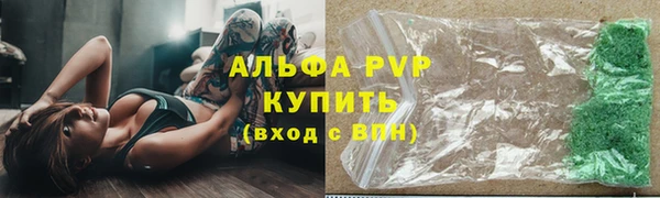 хмурый Пересвет
